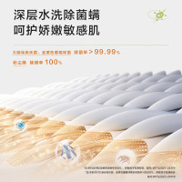 [24年新品]Haier海尔洗衣机超薄平嵌滚筒洗衣机全自动8公斤家用大容量洗衣机一级能效大筒径除菌除螨