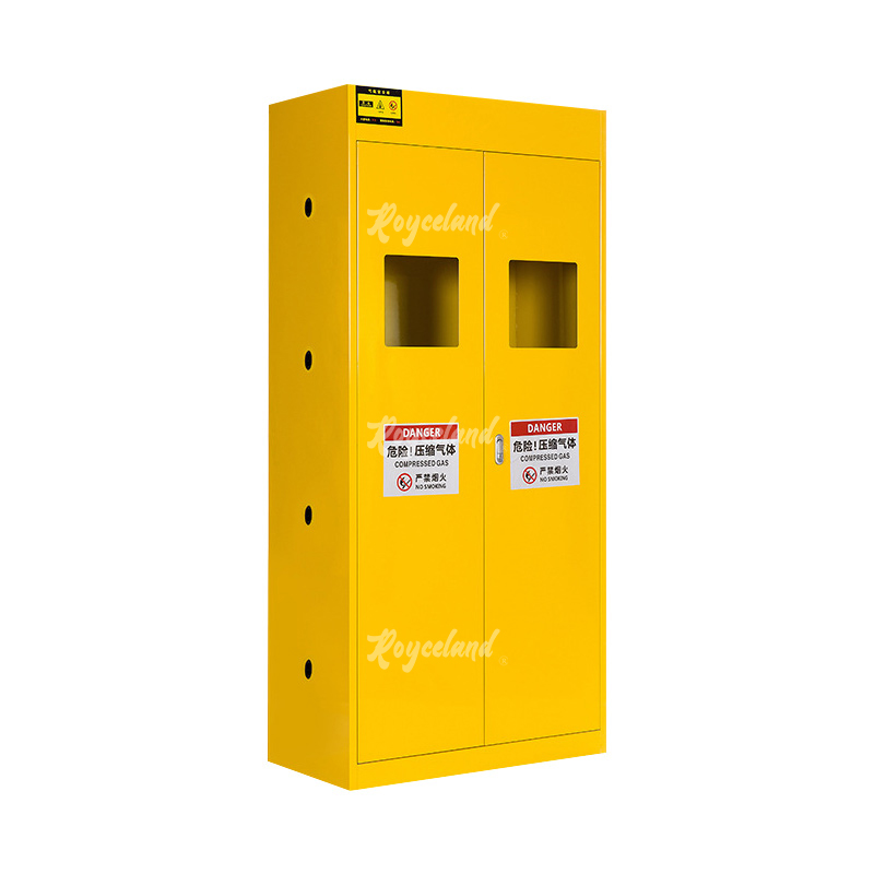 洛诗莲 LSL4041360气瓶柜全钢气体防爆柜气罐储存柜 黄色双瓶不报警