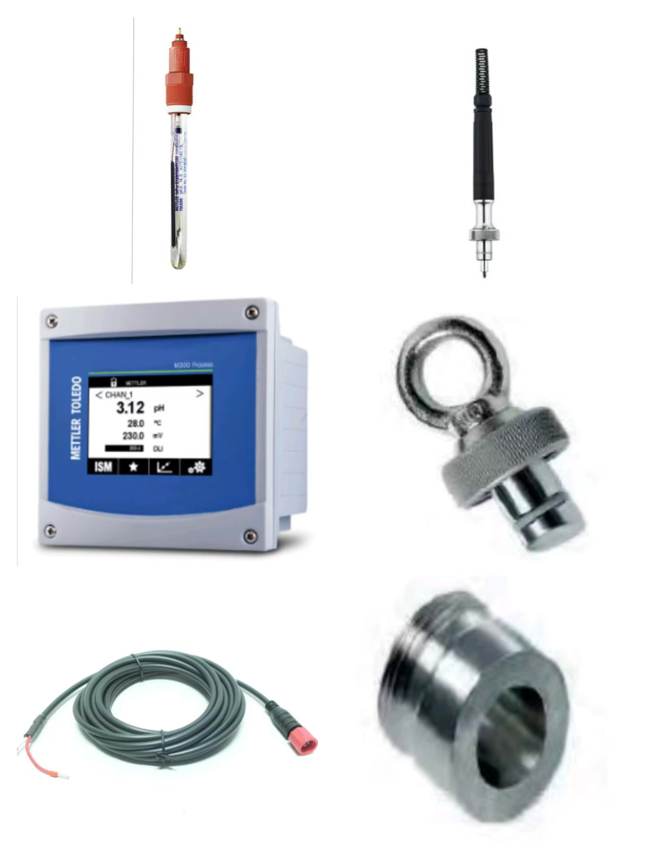 梅特勒托利多(METTLER TOLEDO) 在线酸度仪 M300-inpro3100i-AK9/10m