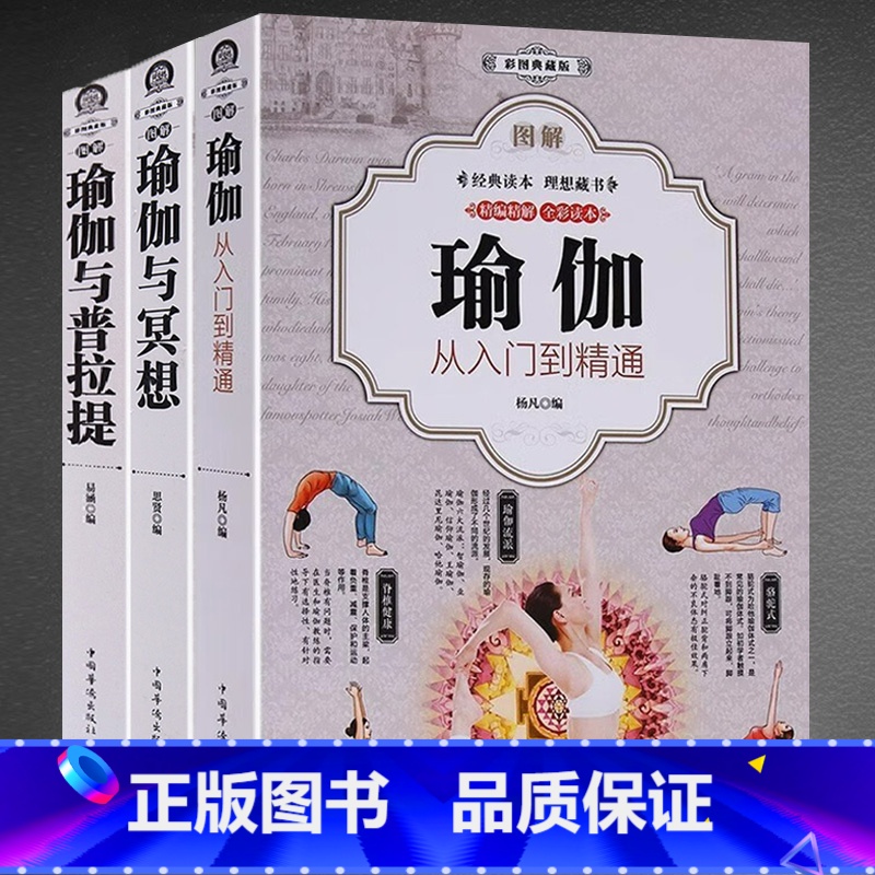 3册套装 【正版】全3册图解瑜伽 彩图典藏版从入门到精通 快速入门养心强身 瑜伽健身技巧与方法全彩书籍