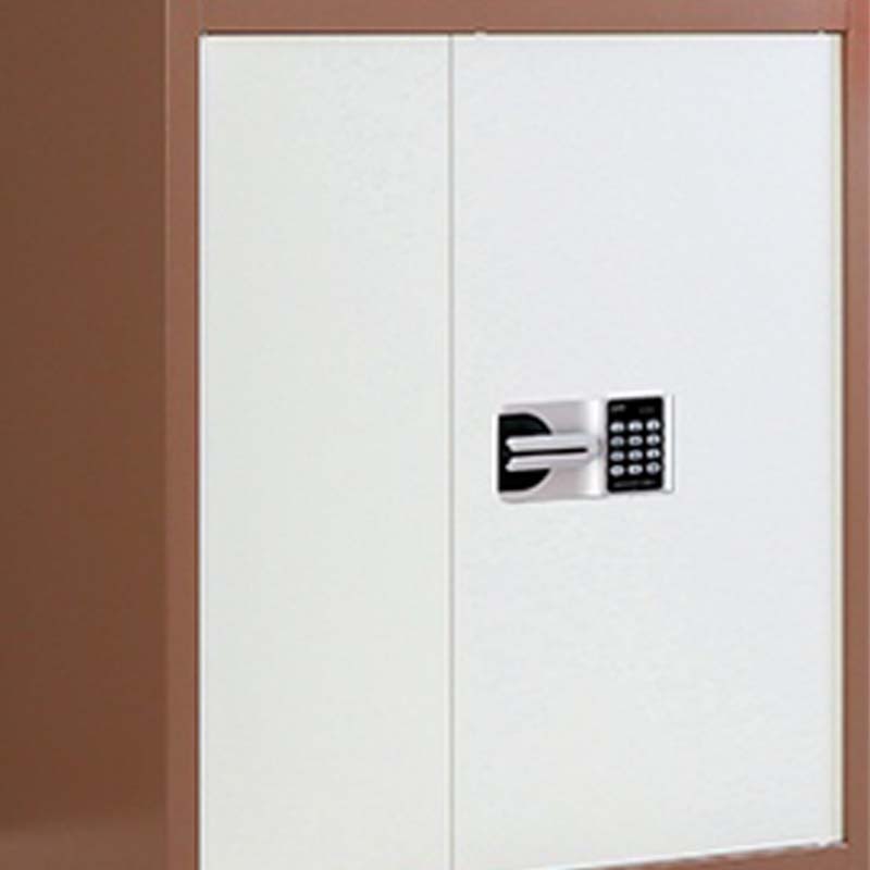 阿拉贡保密柜财务档案柜文件柜办公室资料储物柜保险柜通双节咖框白门-国保密码锁高清大图