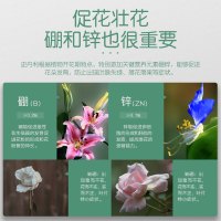 史丹利1810磷酸二氢钾花肥料花卉专用盆栽颗粒肥家用养花磷钾肥