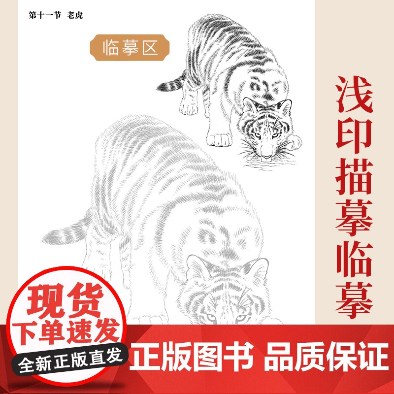 中国画白描入门描摹本国画工笔花卉人物美术套装画本工具描红书初学者画画临摹画册毛笔绘画练习教材高清大图
