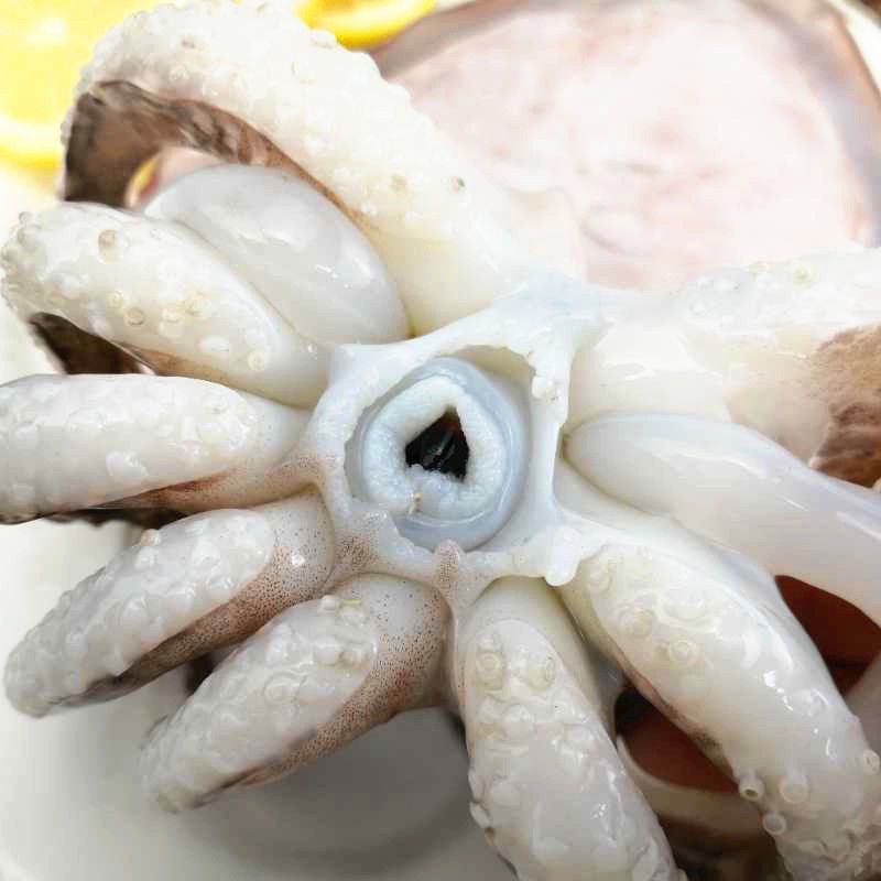 赛卡伊新鲜大墨鱼海捕墨鱼仔超大号冷冻水产海鲜大乌贼目鱼墨斗鱼