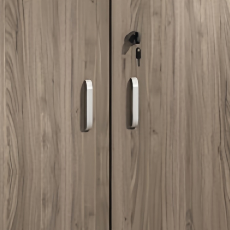 亿洛莱 档案柜 两门 台高清大图