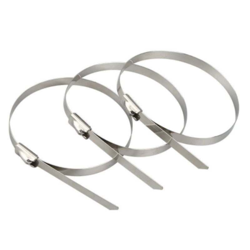 诚智旺 不锈钢扎带 10*1400 /根高清大图