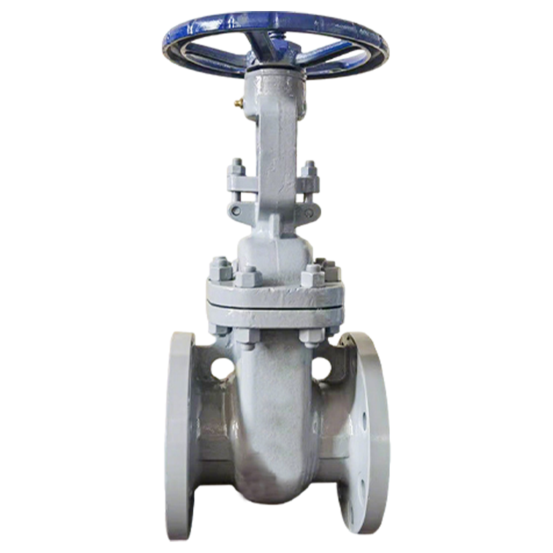 卡西斯顿 碳钢闸阀 DN50-150LB 个高清大图