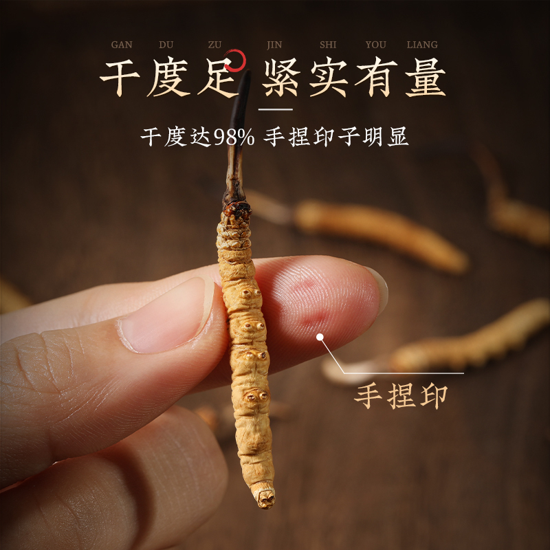阿依舍冬虫夏草虫草正品干货5-7条/g 1克礼盒装