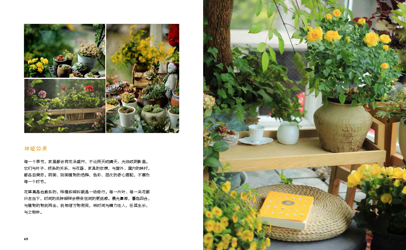 [醉染正版]阳台花园打造记 户内外空间 露天阳台花园布置改造植物装饰造景设计 阳台花园养花花园改造 家庭观赏实用性园艺高清大图
