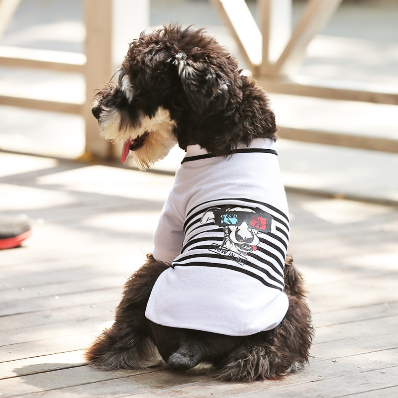 雪纳瑞衣服狗狗泰迪博美夏装薄款小型犬法斗柯基宠物夏天T恤背心