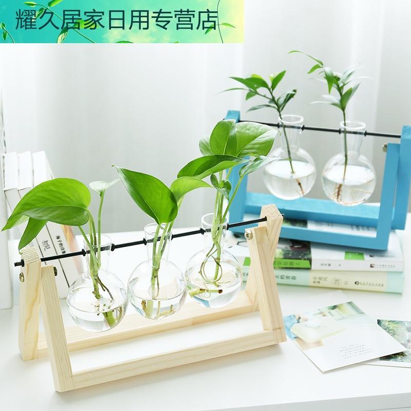 绿萝水培创意木架植物盆栽室内绿植办公室桌面摆件绿色植物小盆栽