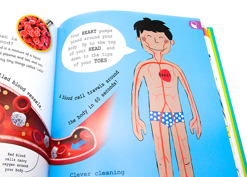 DK 重点小百科人体 [正版]DK出版 那些重要的事 My Encyclopedia of Very Important高清大图