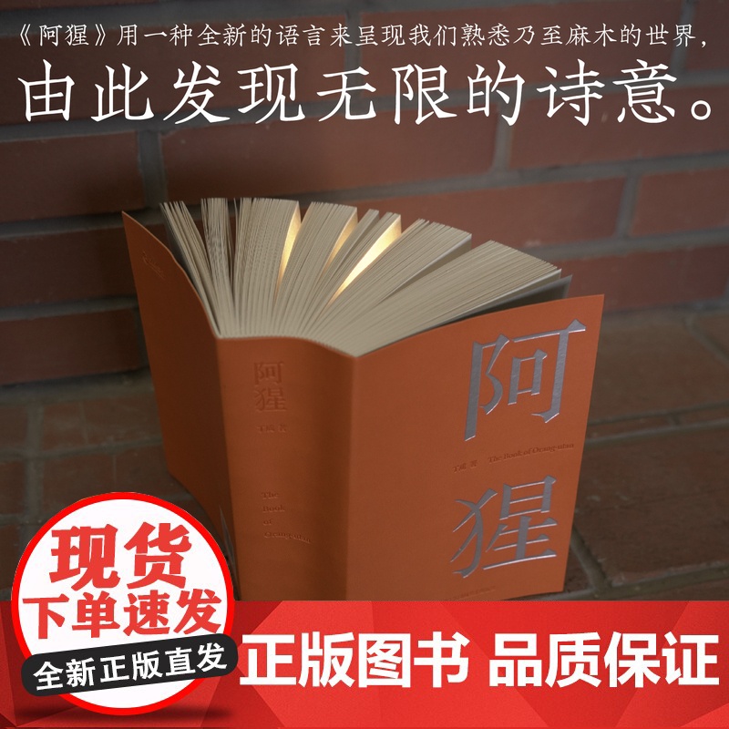 2024年“中国最美的书”阿猩 红毛猩猩的叫声被“翻译”成1000首诗 人类与其他物种的共同创作 红山动物园 毛栗子高清大图
