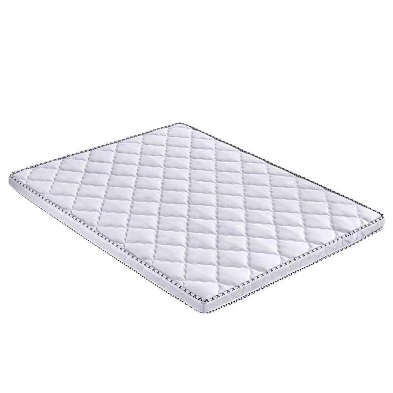 洋潭一木棕垫YT-1005张