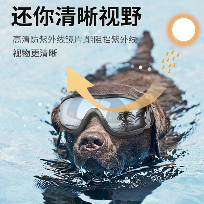 狗狗眼镜宠物专用墨镜护目镜柯基边牧金毛防风太阳镜泰迪犬游泳镜