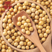 华闽（HUAMIN）黄豆 1kg/袋五谷杂粮 东北粗粮 豆浆原料豆1000g 可发芽小杂粮 非有机非转基因