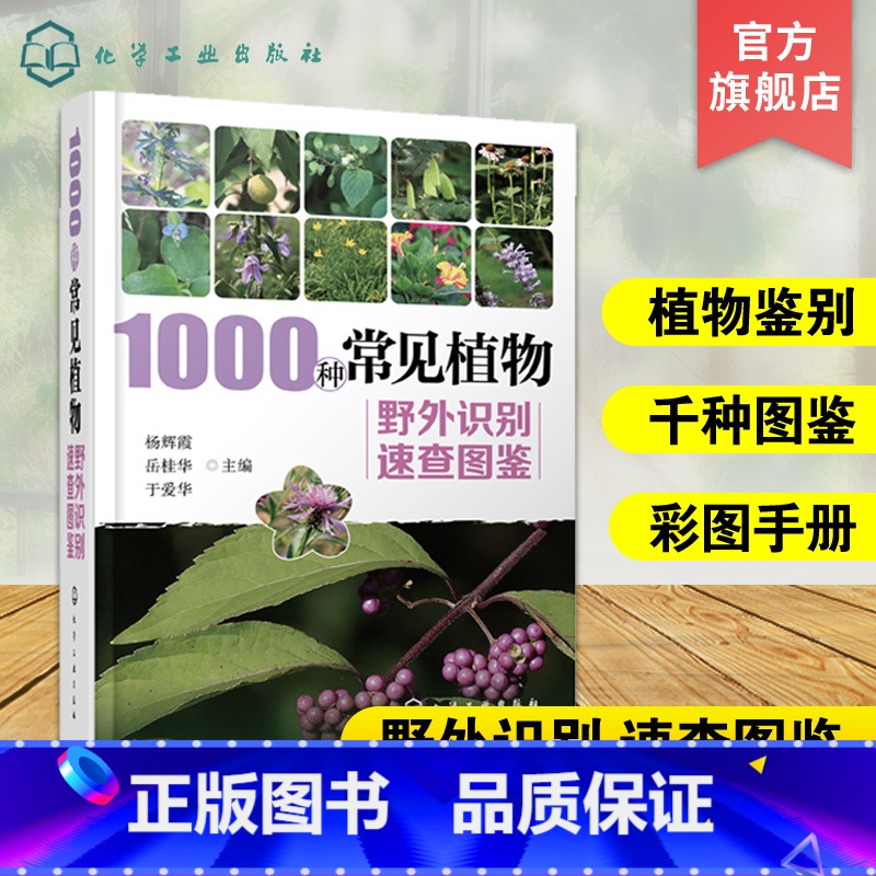 世界木材图鉴 289种木材识别与应用宝典 【正版】1000种常见植物野外识别速查图鉴 图解中草药大全 家庭书籍野外识别