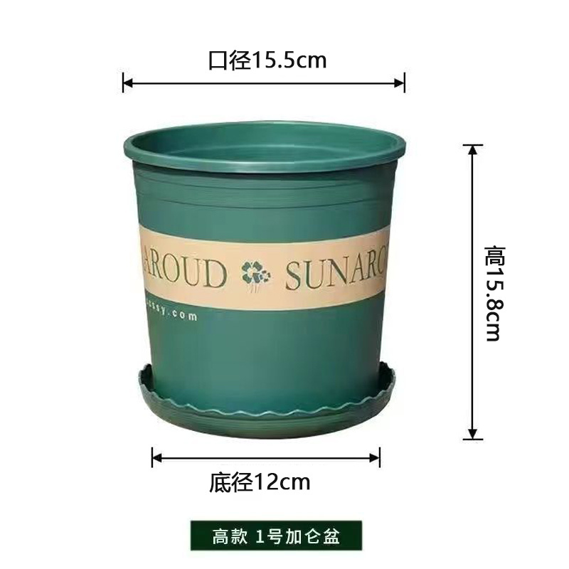 加仑花盆家用阳台塑料花盆小绿萝月季多肉第三代二代树脂简约花盆