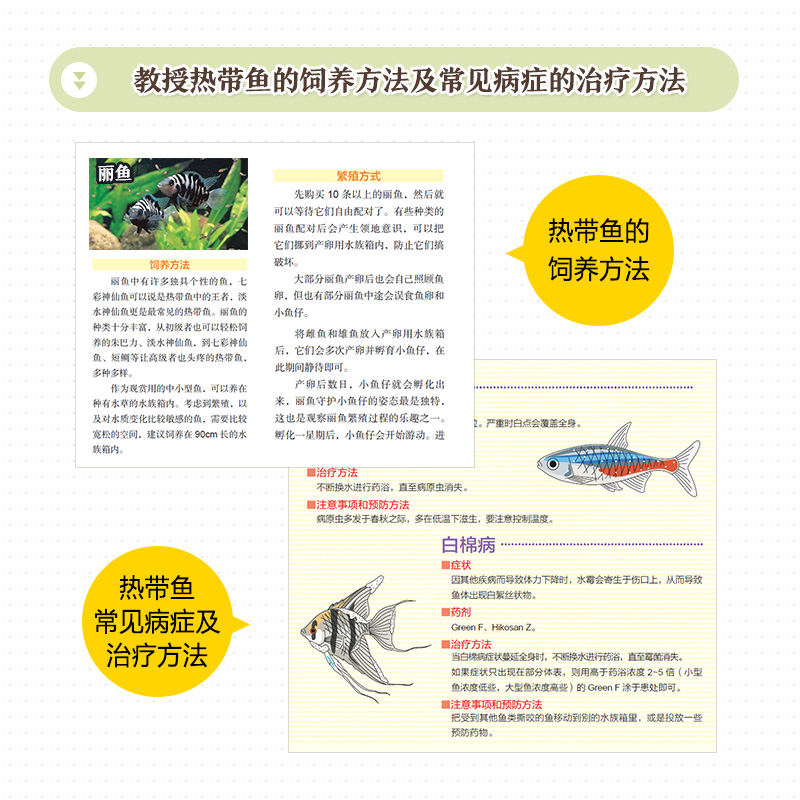 [正版]水草造景和热带观赏鱼饲养技术手册打造理想水族箱造景书籍 水草造景艺术热带观赏鱼水草造景养殖图鉴书籍高清大图
