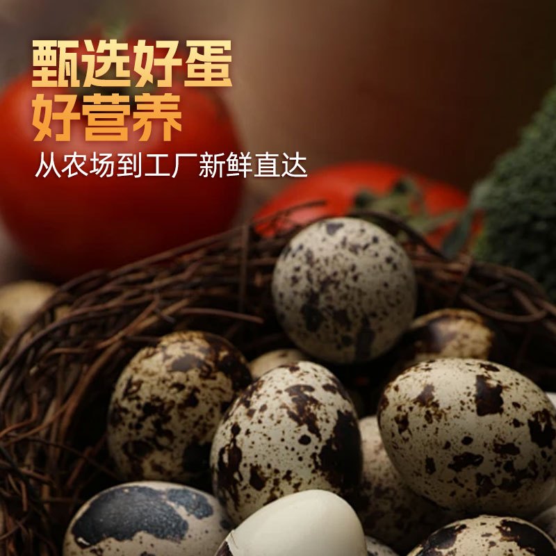 [苏鲜生推荐]雀淘 香辣味鹌鹑蛋21g/袋 40袋装 顺丰发货开袋即食卤味解馋小零食休闲小吃高清大图