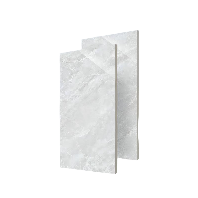 诚智旺 瓷砖 400*800mm/块高清大图