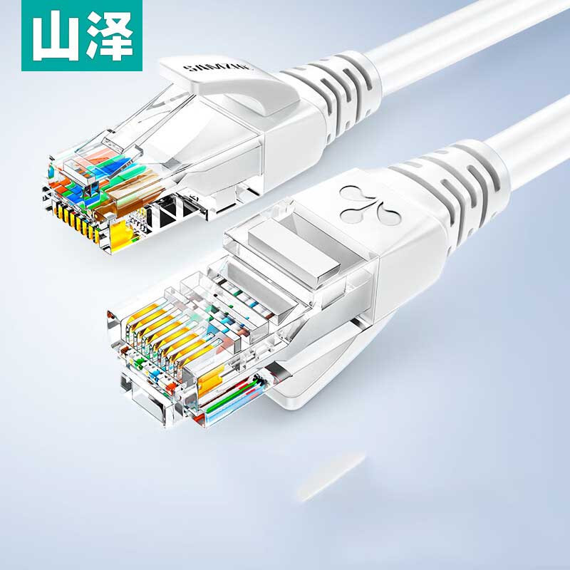 山泽 超五类网线 CAT5e类高速千兆网线 2米 成品网线 贝吉色 ZW-02(五个起拍)