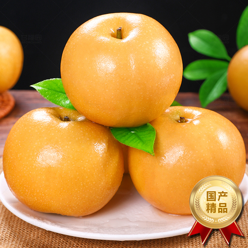 [西沛生鲜]新鲜山东秋月梨 净重4.5斤 大果 4-6个 新鲜当季水果 现摘现发高清大图