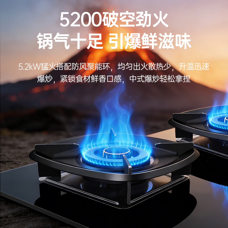 樱雪INSE燃气灶天然气双灶具 家用5.2kW定时聚能猛火灶灶台嵌两用 70%高热效可调节底盘Q8D高清大图