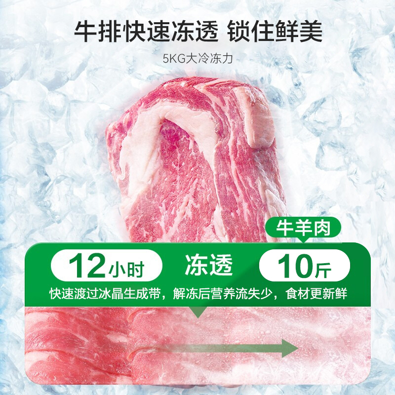 容声(Ronshen)165升 顶开门双温冰柜 大冷冻小冷藏 卧式 家用商用卧式冷柜一级能效(白)BCD-165MB高清大图