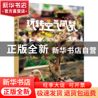 玩转空气凤梨