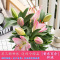 [买三送四]香水百合种球加仑盆塑料盆进口品种易种植好养护秋冬季应季上市包活包开花可选配可套餐自产自销