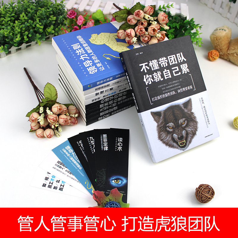 [正版]管理方面的书籍全10册不懂带团队你就自己累领导力法则高情商管理墨菲定律九型人格执行力公司经营行政企业管理阿尔泰高清大图