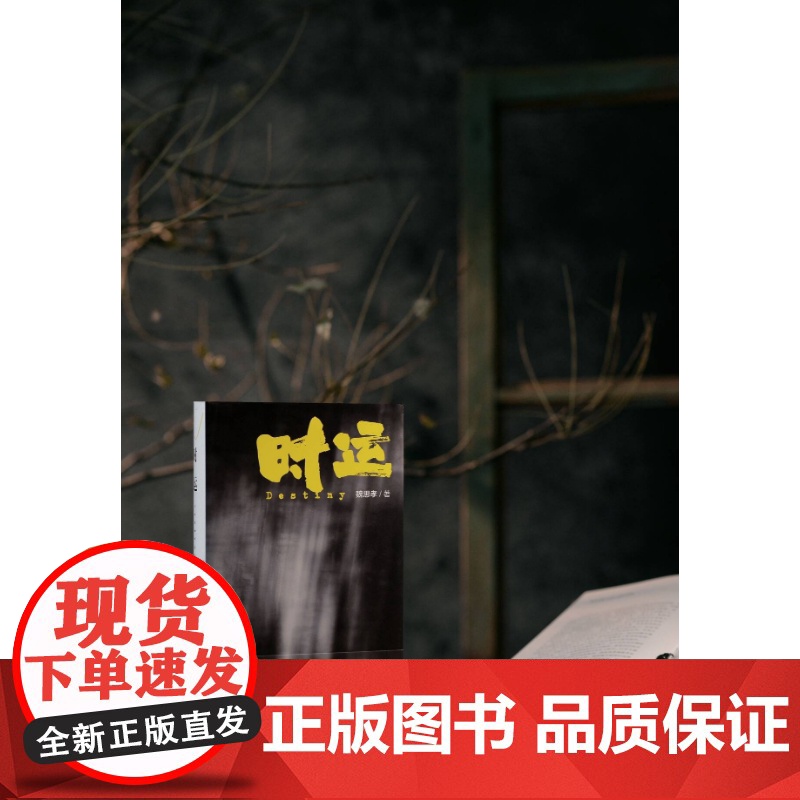 时运 宝珀理想国文学奖得主魏思孝新作另著王能好上海文艺出版社中国当代小说正版图书籍高清大图