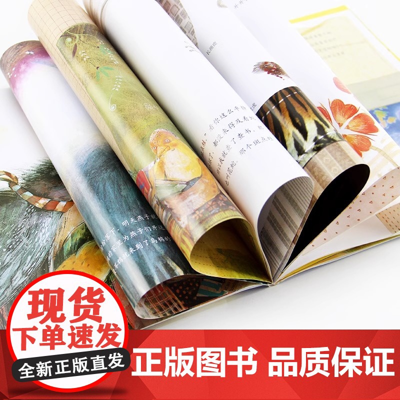 一起一起分类病数学绘本一年级二年级幼儿园宝宝亲子读物幼儿童启蒙认知早教3-8岁宝宝学习故事书数学读物高清大图