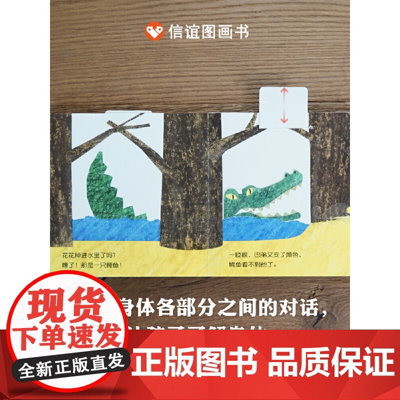 变色龙捉迷藏(0-3岁) 信谊宝宝起步走高清大图