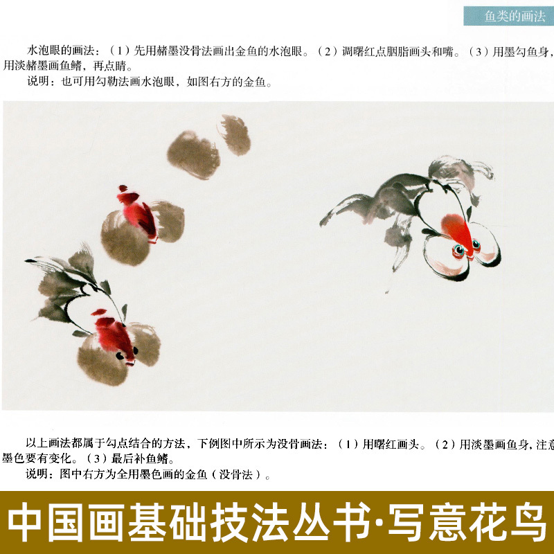 [正版]鱼类 中国画基础技法丛书 (学一百通) 写意花鸟国画入门基础