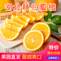 [一贤生鲜]秭归九月红橙 净重9斤装 单果70-75mm 酸甜多汁 西沛
