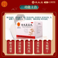 同仁堂防风通圣丸10袋便秘解表通里清热解毒恶寒风疹
