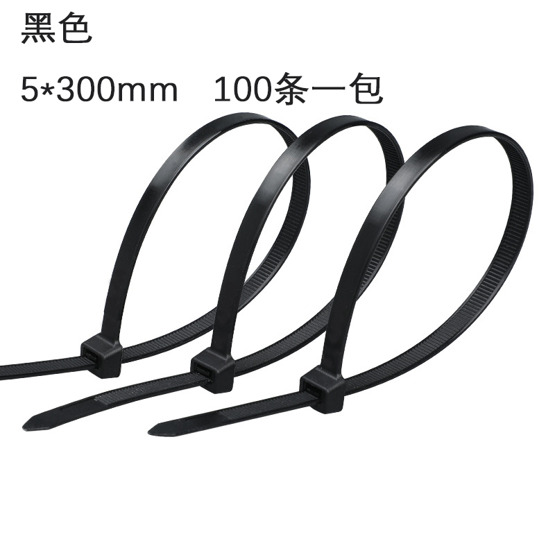 铁迅耐寒耐候扎带 I86 100条/包 黑色