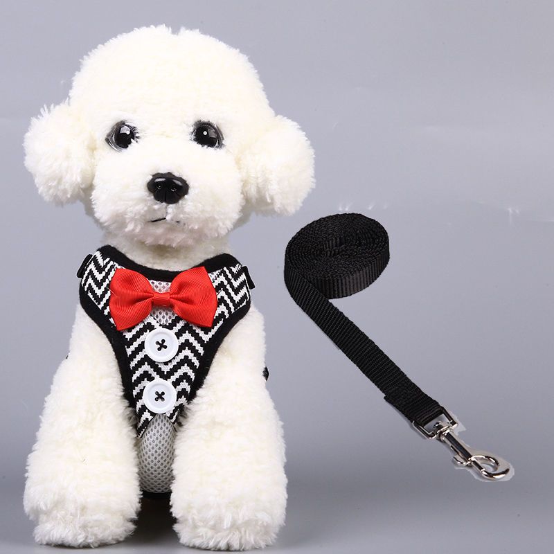 s码[约3-8斤] 背心式宠物胸背牵引绳狗狗拉带外出遛狗绳子链子小型犬