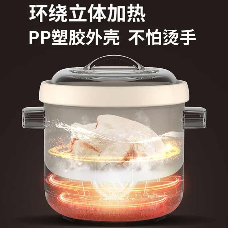 天际(TONZE) [双重防烫]2L慢炖型电炖锅 白瓷熬粥煮粥煲汤陶瓷养生文火