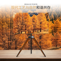 索见FITUEYES电视支架落地实木三星LG索尼42/55/60/寸通用