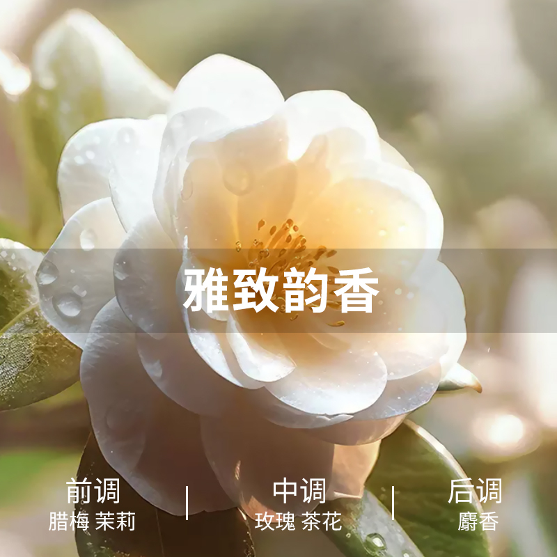 美穗吉家 山茶植萃全效洁白香氛洗衣液-2kg高清大图