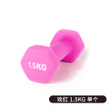 伽梵浸塑小哑铃 1.5kg丁香紫一个