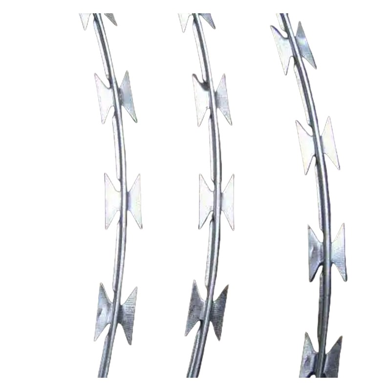 瑞季勤 刺丝滚笼 圈径50cm kg高清大图