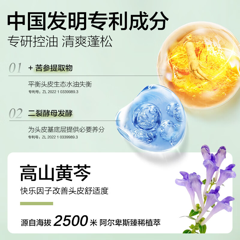 柏缇 植酵舒缓控油洗发水 清爽去油止痒蓬松 520ml(规格:瓶)高清大图