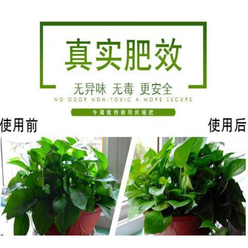 植物营养液通用型水培土培花绿萝多肉富贵竹花肥营养液浇花喷壶 营养液18只