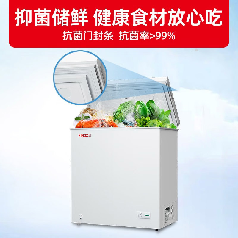 星星(xingx)100升家用大冰柜冷冻单温转换冷柜卧式家用厨房冻肉超市