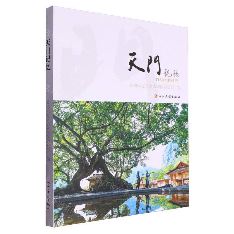 【N】天门记忆-9787573317551