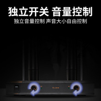 得胜(TAKSTAR) TS-6310HH无线话筒一拖二 KTV家用唱歌专业麦克风